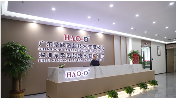 深圳豪歐密封2024年會(huì)：回顧與展望